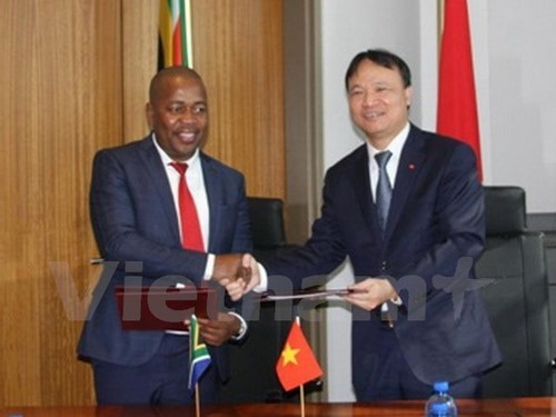 Vietnam, South Africa discuss 3 billion USD trade turnover  - ảnh 1